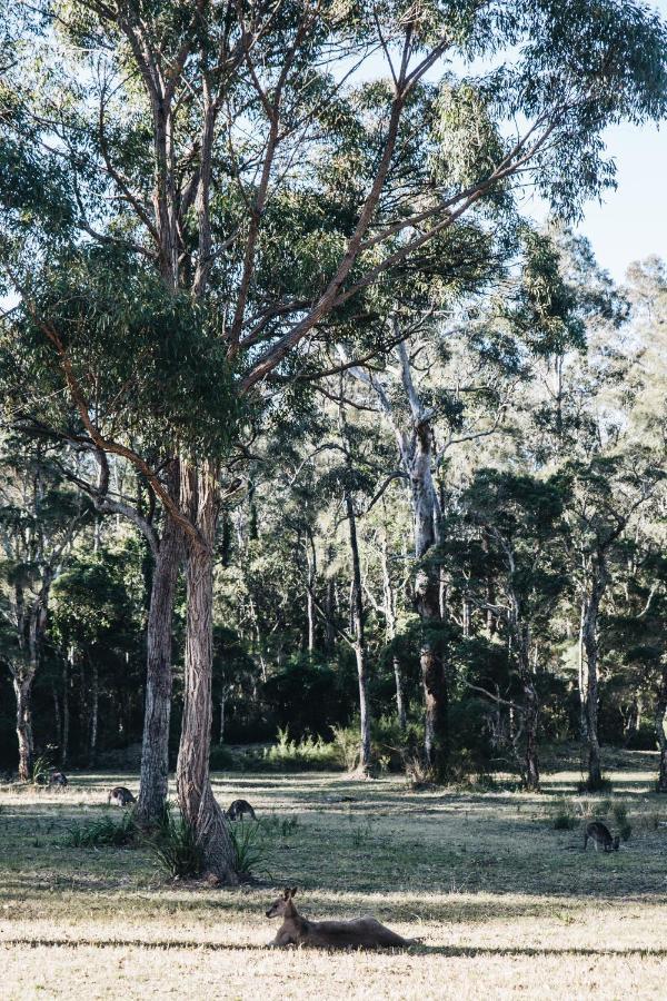 Worrowing Jervis Bay Hotel Huskisson Exterior photo